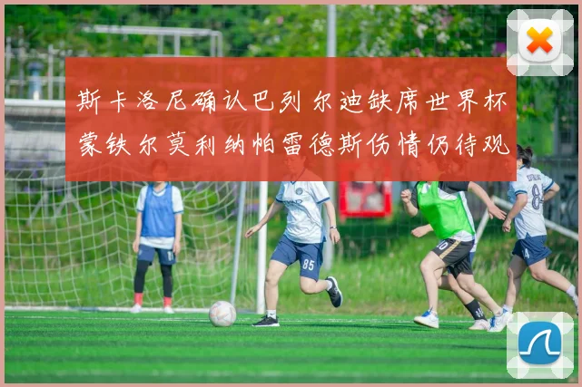 斯卡洛尼确认巴列尔迪缺席世界杯蒙铁尔莫利纳帕雷德斯伤情仍待观察