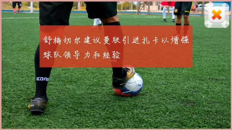 舒梅切尔建议曼联引进扎卡以增强球队领导力和经验