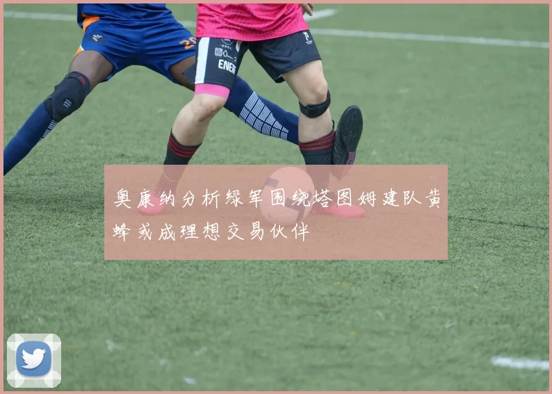 奥康纳分析绿军围绕塔图姆建队黄蜂或成理想交易伙伴
